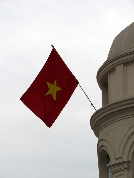 Vietnamese Flag | this bird flies